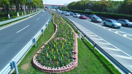 赞!沪闵路地道变靓了