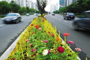 大闸南路景观道路提升工程完工